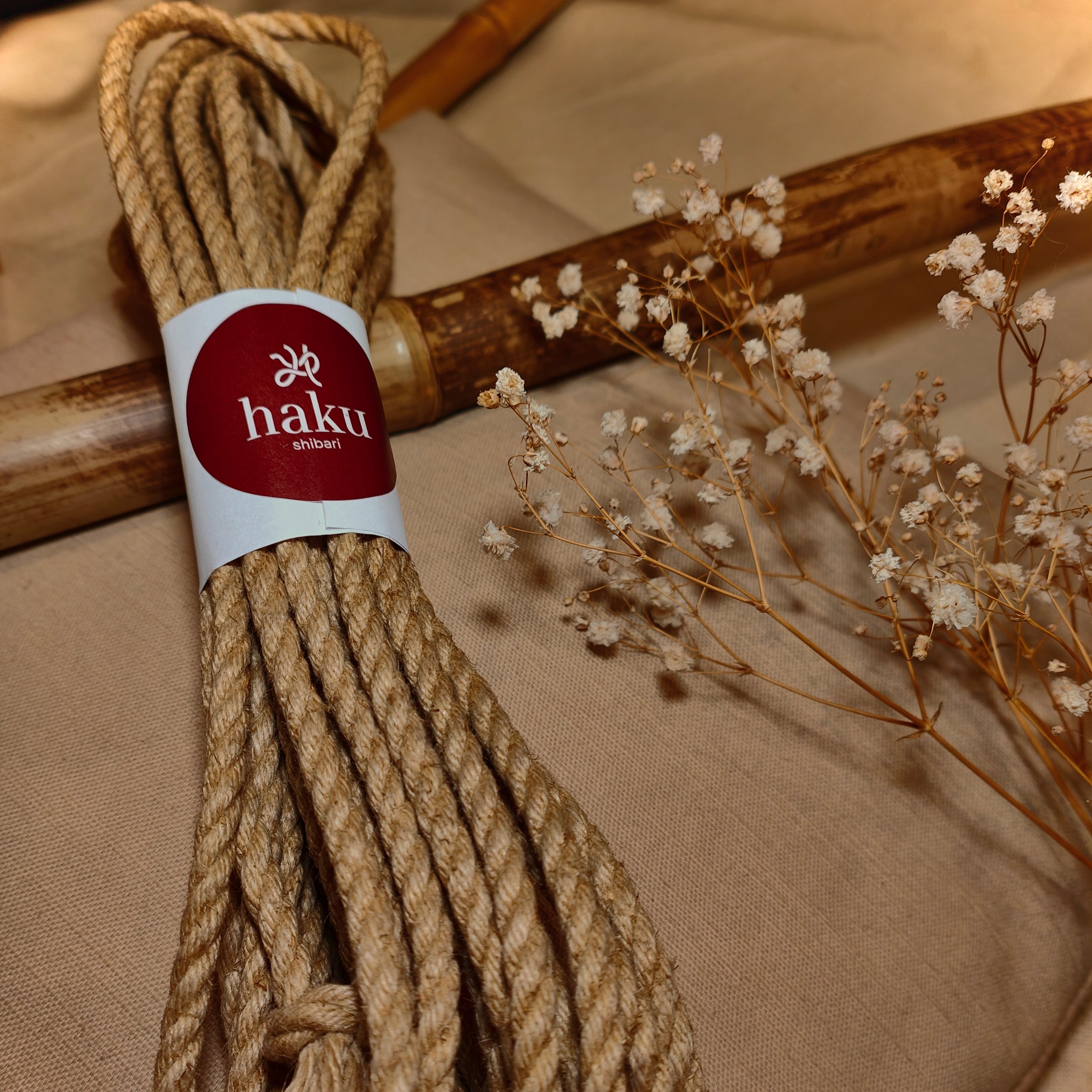 corde chanvre shibari